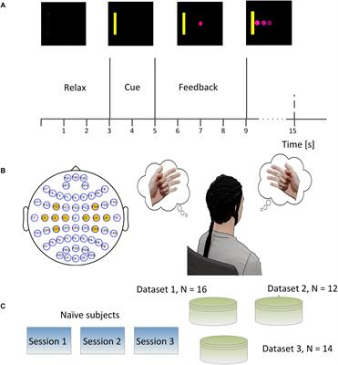 Exploring Training Effect in 42 Human Subjects Using a Non-invasive Sensorimotor Rhythm Based Online BCI